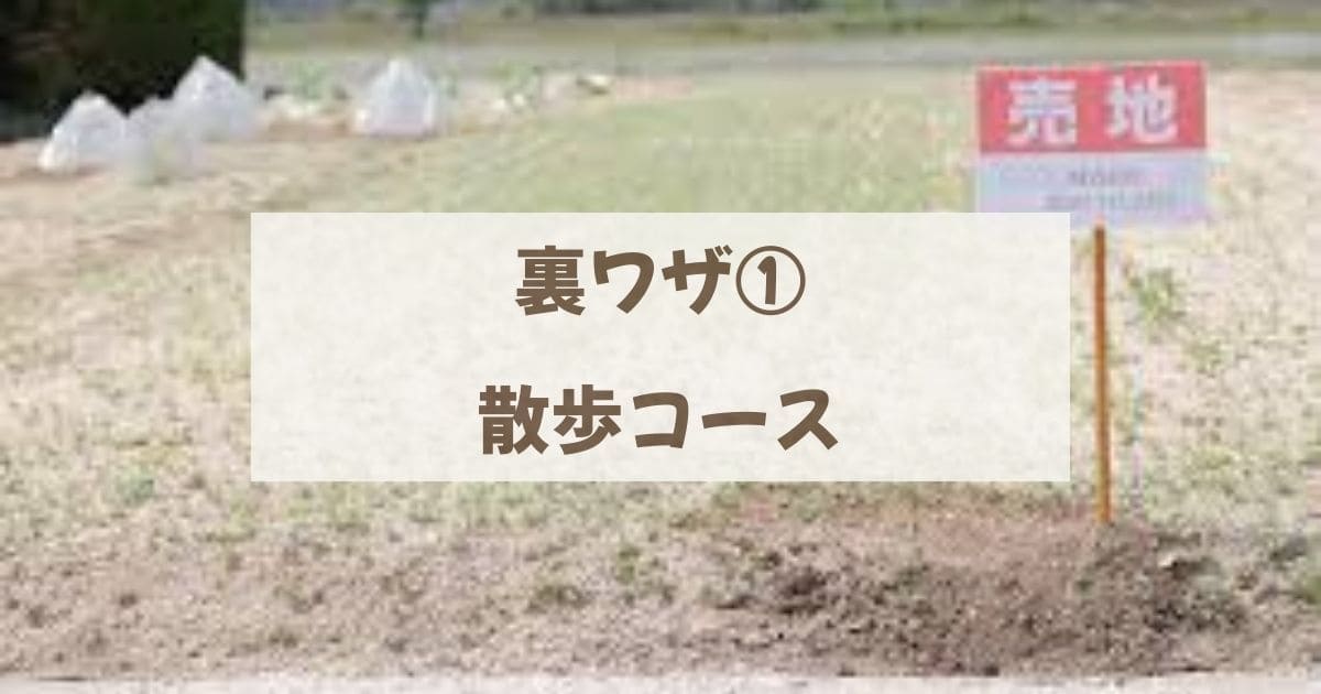 散歩コース
